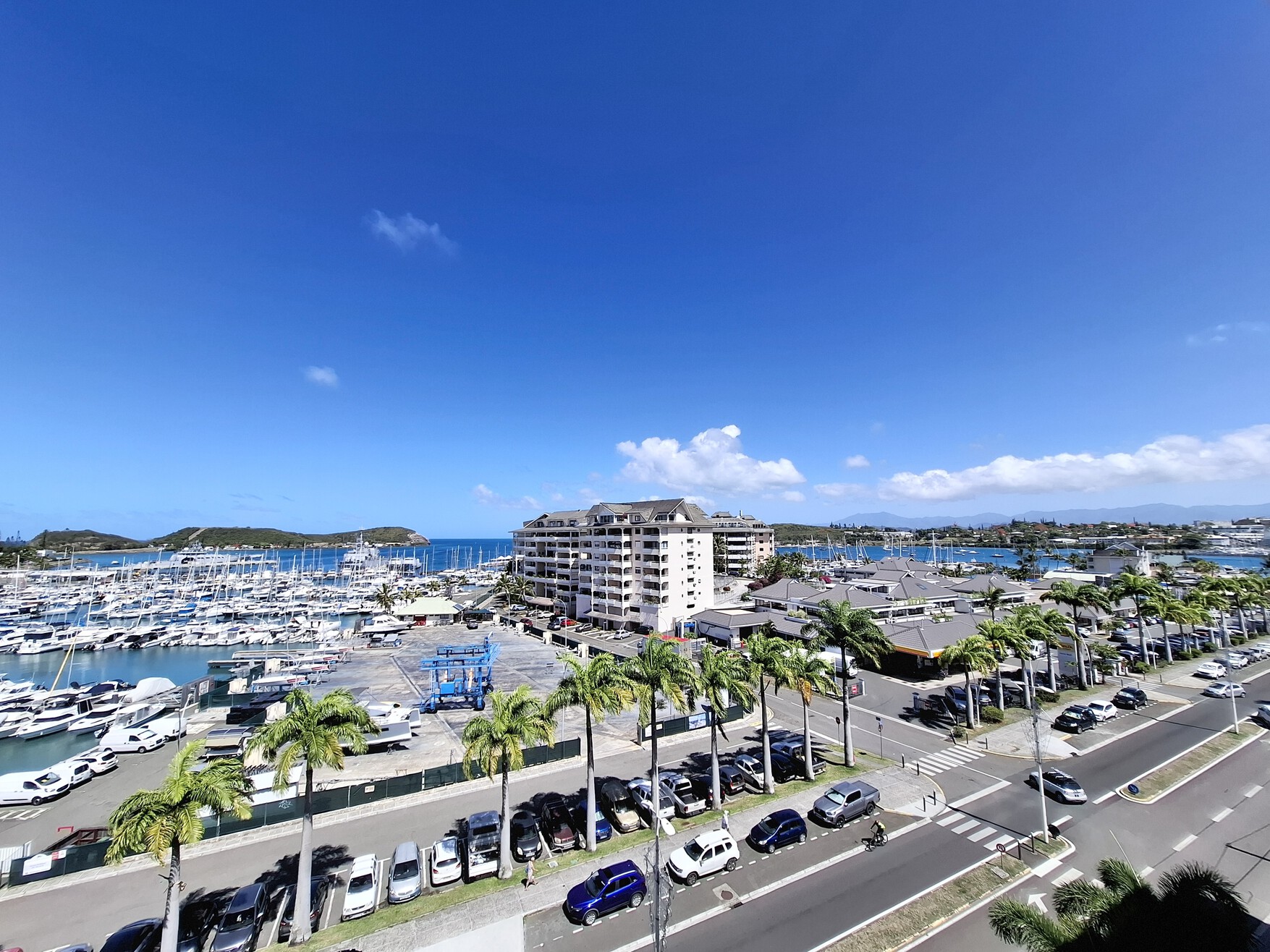 result_20251219_093049