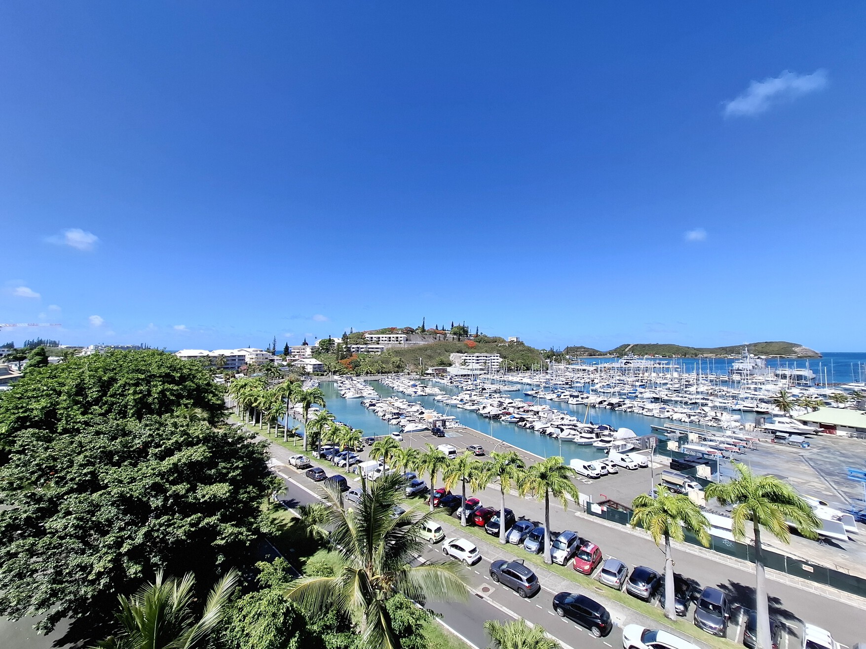 result_20251219_093101